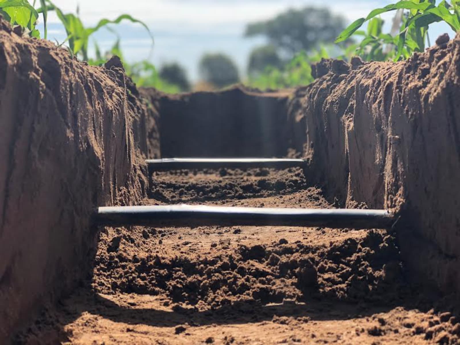 Netafim llevó a Expoagro el riego por goteo subterráneo para cultivos extensivos