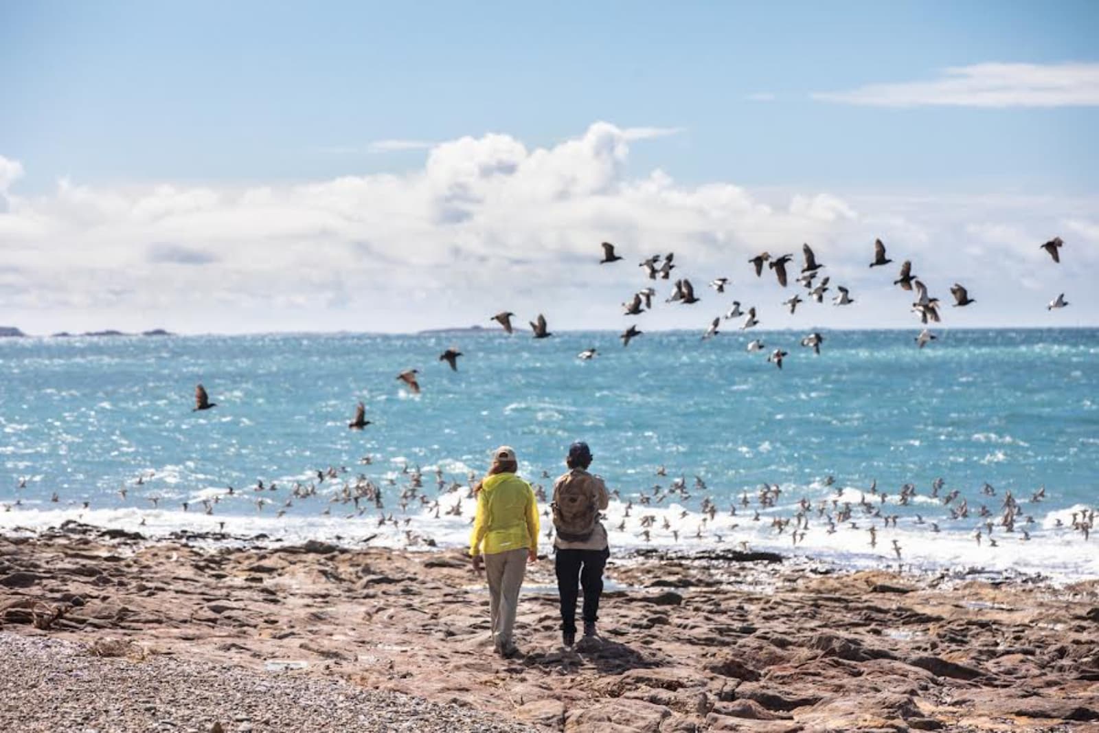 Parque Patagonia Azul convoca a dos jornadas gratuitas de senderismo en Chubut