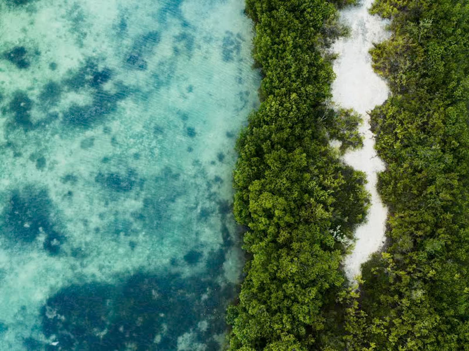 Accor impulsa medidas para reducir el consumo de agua en su operación hotelera