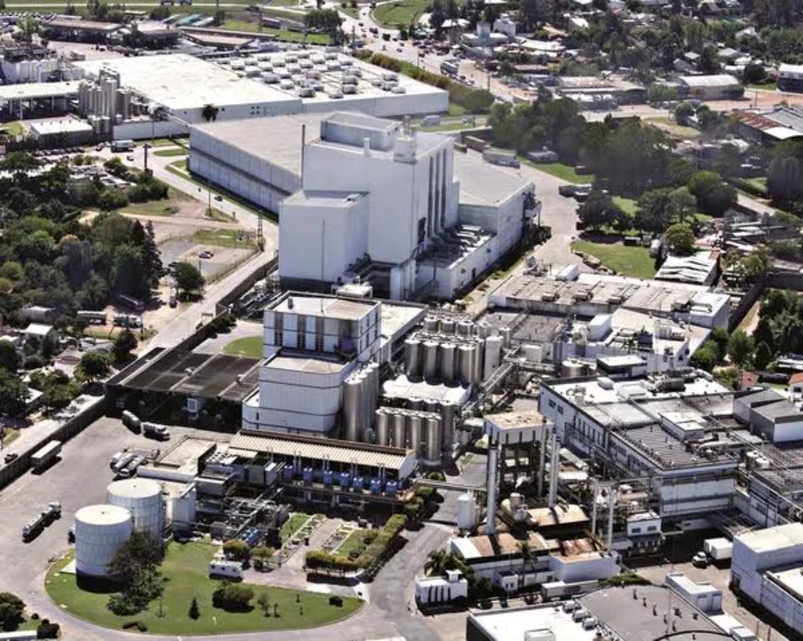 Arcor y Danone crean una joint venture láctea tras adquirir Mastellone Hermanos