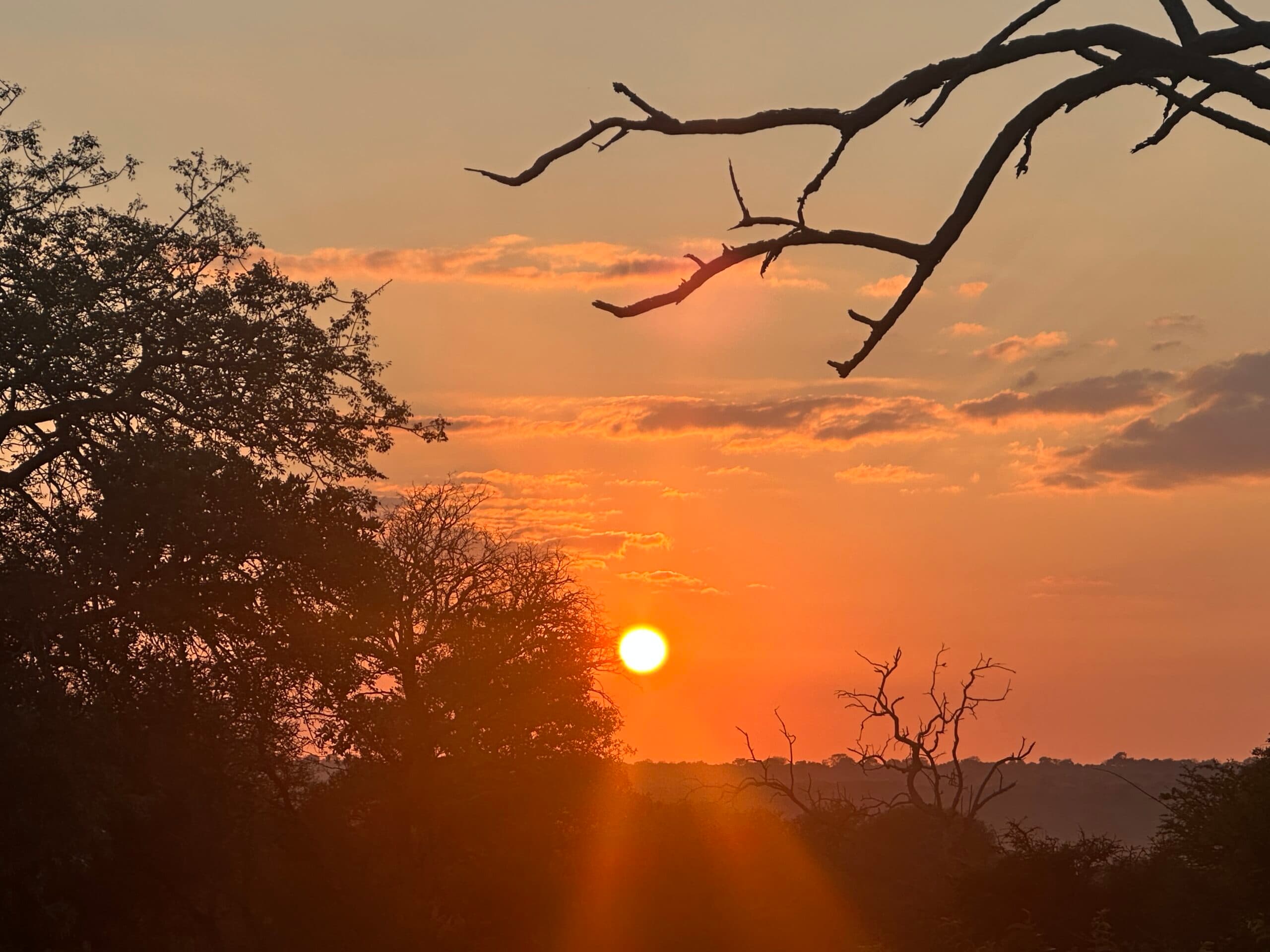 BlinkTrip pone a Sudáfrica como opción familiar frente a Disney, con safaris y ciudad