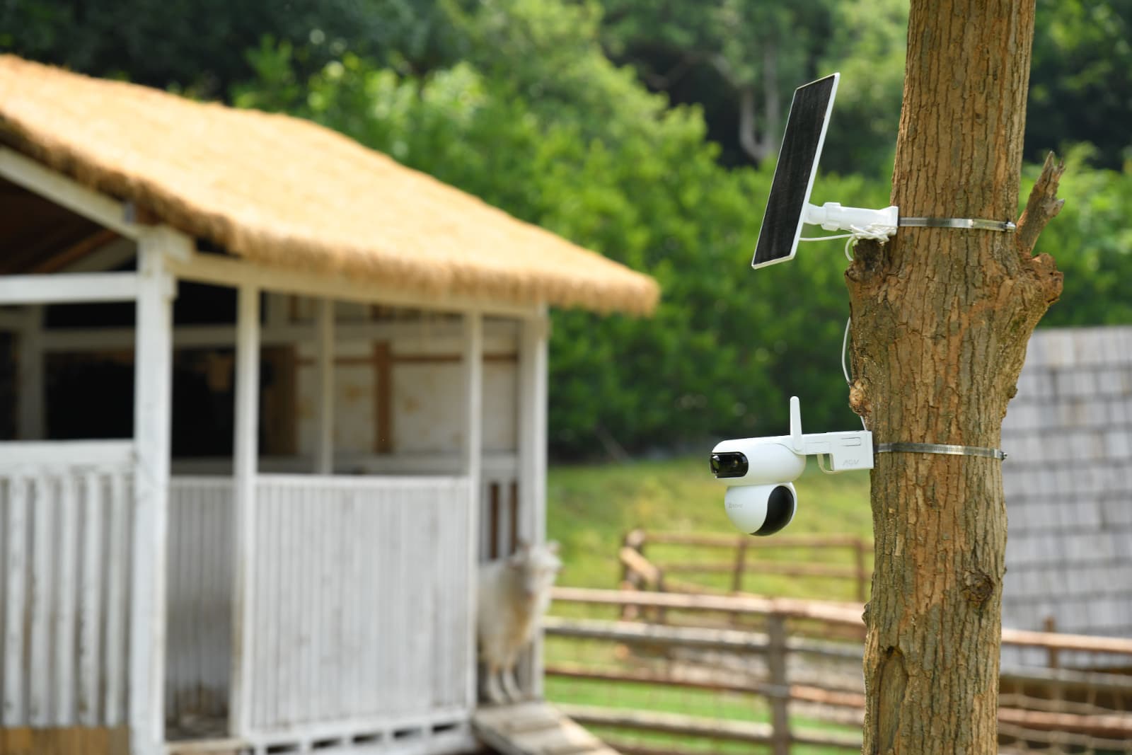 Ezviz suma en Argentina cámaras con WiFi, 4G y paneles solares