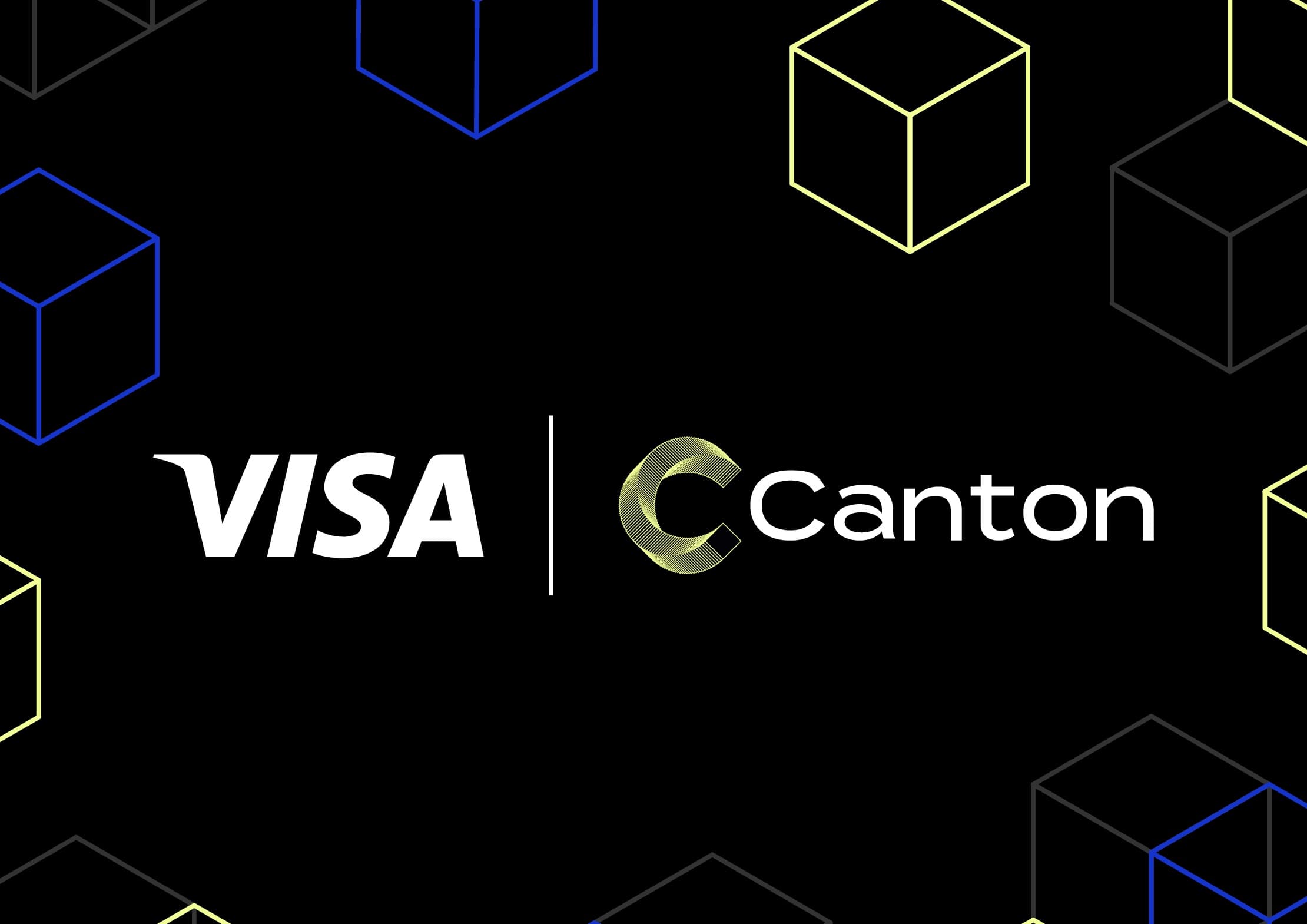 Visa llevará pagos que preservan la privacidad a la red de Canton