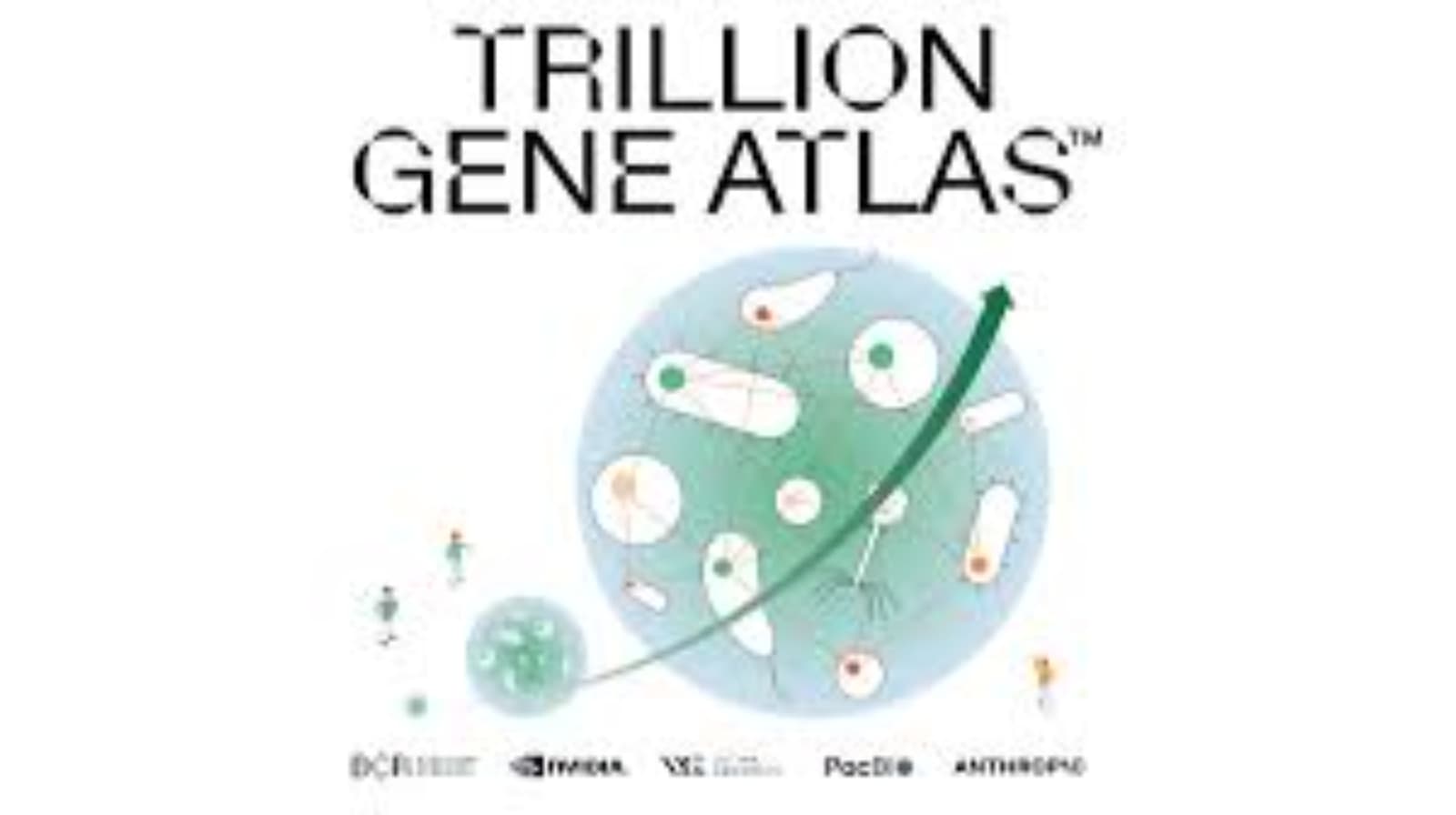Basecamp Research presenta Trillion Gene Atlas y amplía datos genómicos para bioIA