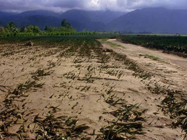 Cambio climático y seguridad alimentaria: alerta del Programa Mundial de Alimentos