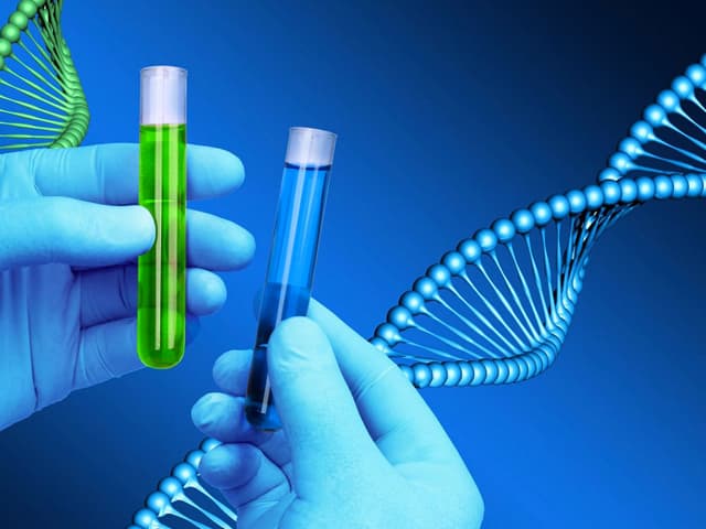 ¿Bebés inteligentes o productos de alta gama? El nuevo negocio genético de Silicon Valley