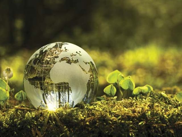 KANKAY proyecta crecer 165% en 2025 con diseño sustentable