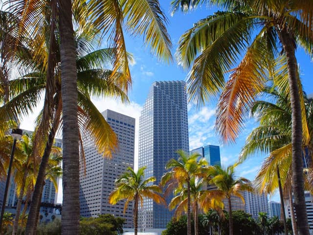 Miami consolida su rol como polo de atracción para el talento latinoamericano