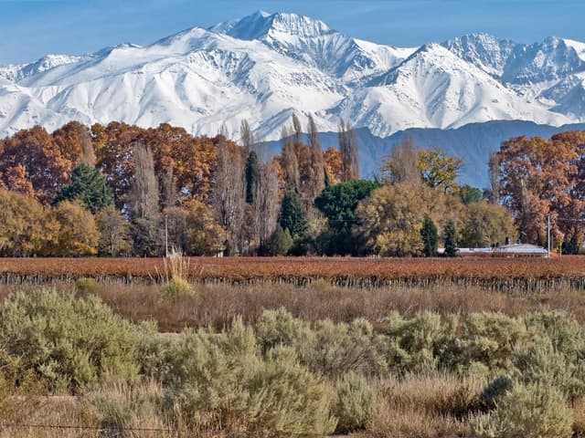 Chardonnay de Pulenta Estate: nuevo vino fresco de la 4ª generación