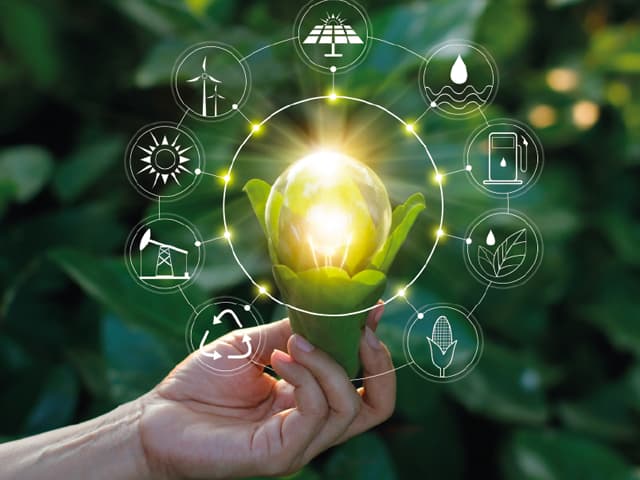 Newsan presenta su décimo reporte de sustentabilidad