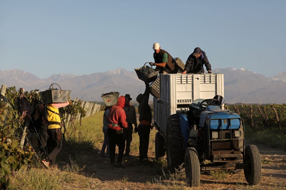 Llega la primera calculadora de gases de efecto invernadero de Latinoamérica