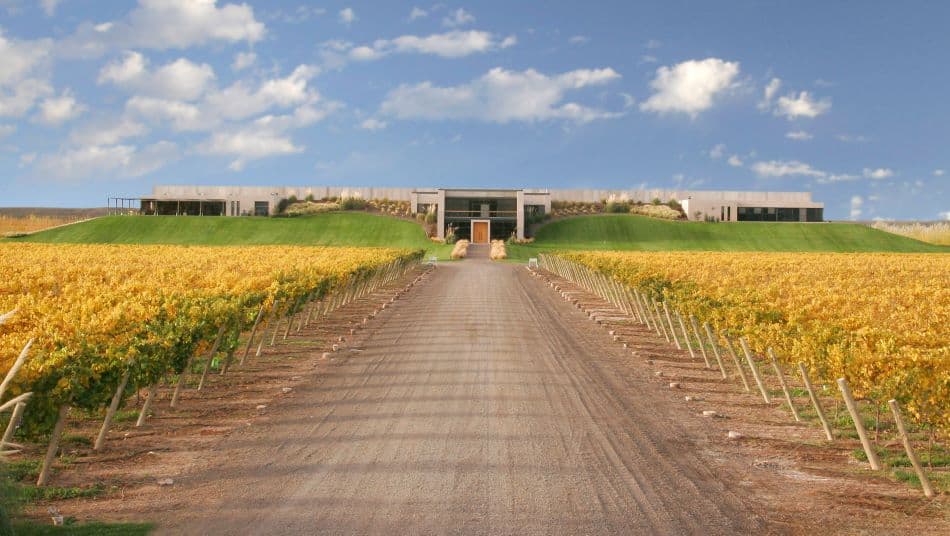 Bodega Malma obtuvo el sello Vitivinicultura Argentina Sostenible