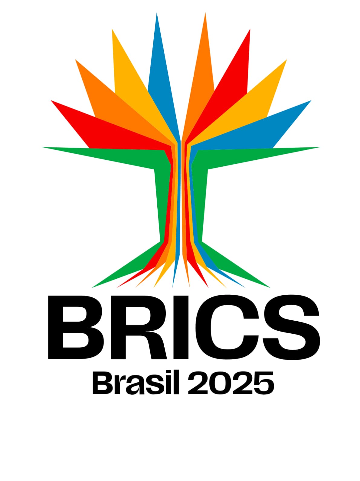 BRICS en Río: impulso al Sur Global y desafío al orden internacional actual
