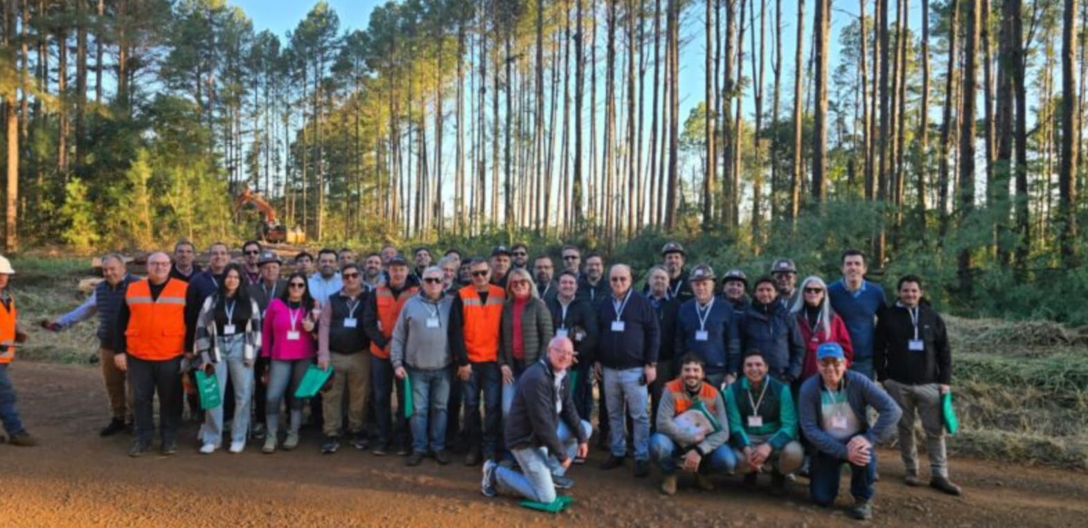 Madera clave en eficiencia energética y construcción sustentable