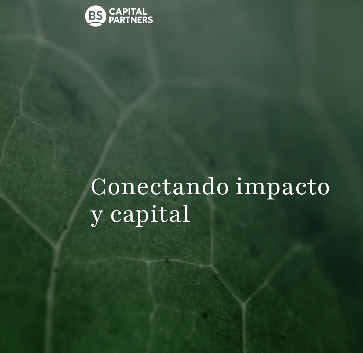 Business & Sustainability lanza unidades para pymes con impacto