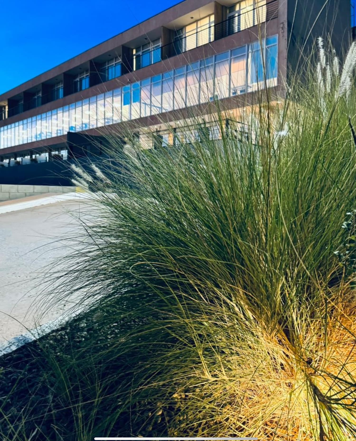 Wenelen Suites vendió el 70% en 45 días en Vaca Muerta