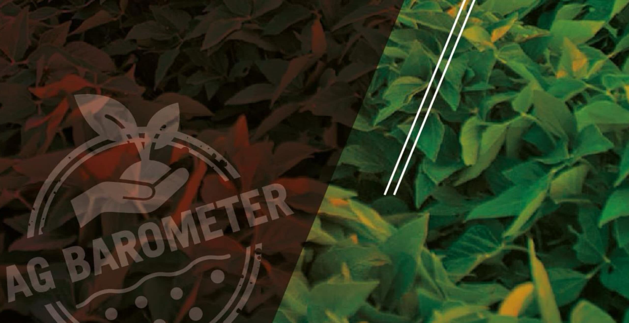 Ag Barometer Austral: fuerte baja en inversión agropecuaria en 2025