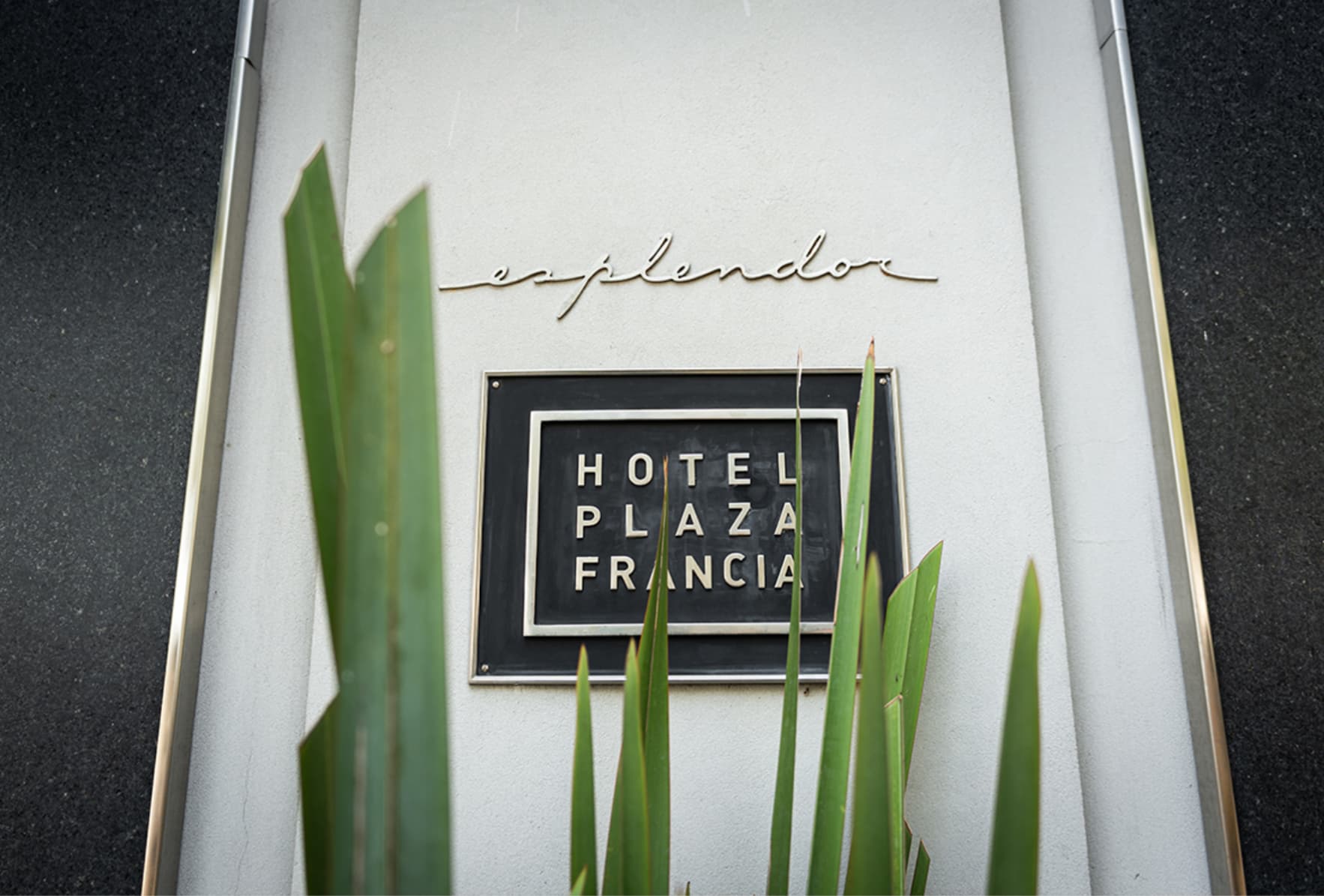 Esplendor Plaza Francia reabre con propuesta de hotel boutique y arte contemporáneo en Recoleta