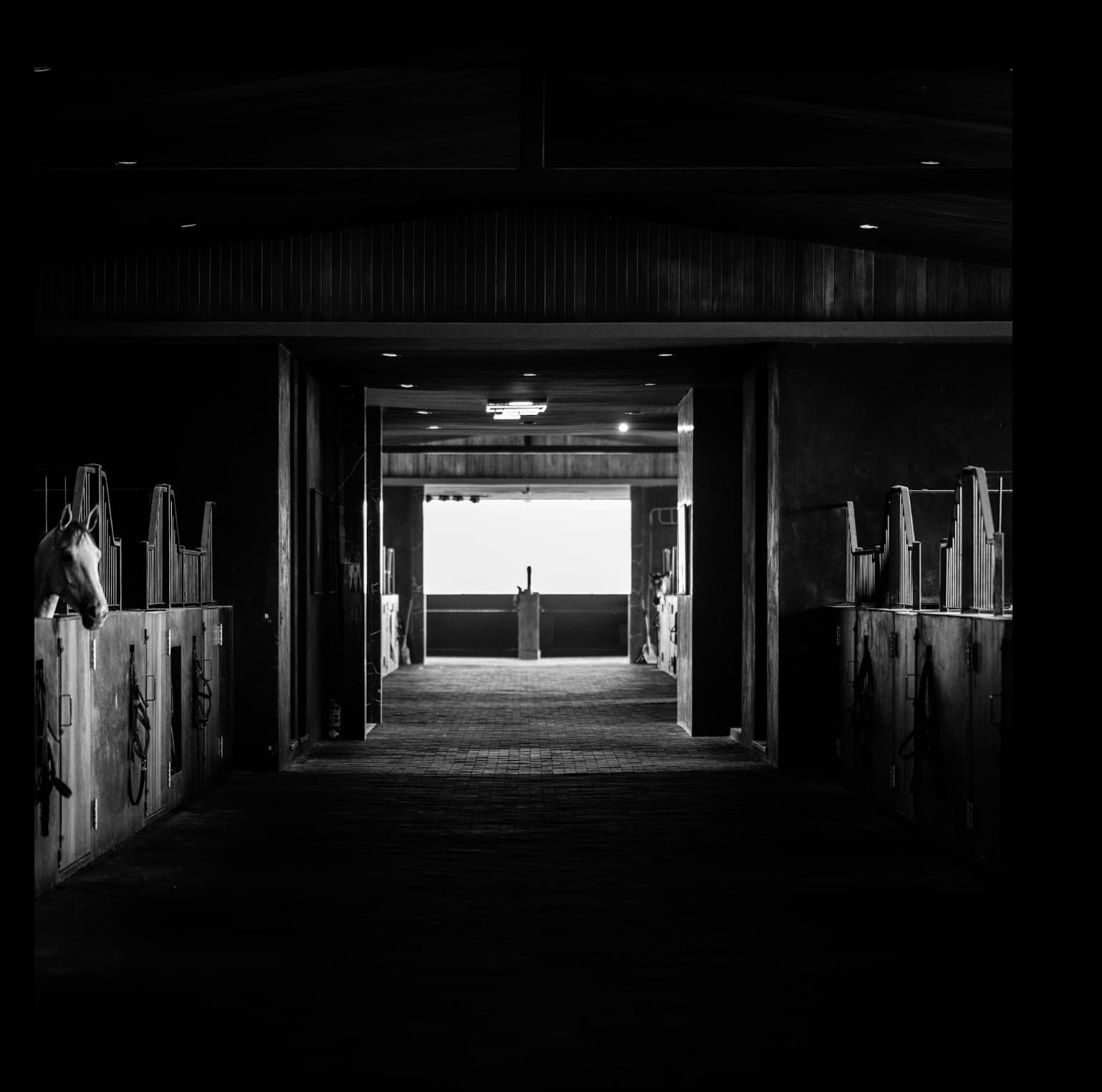 Montana Farm abre club hípico y haras boutique con enfoque internacional en Cardales