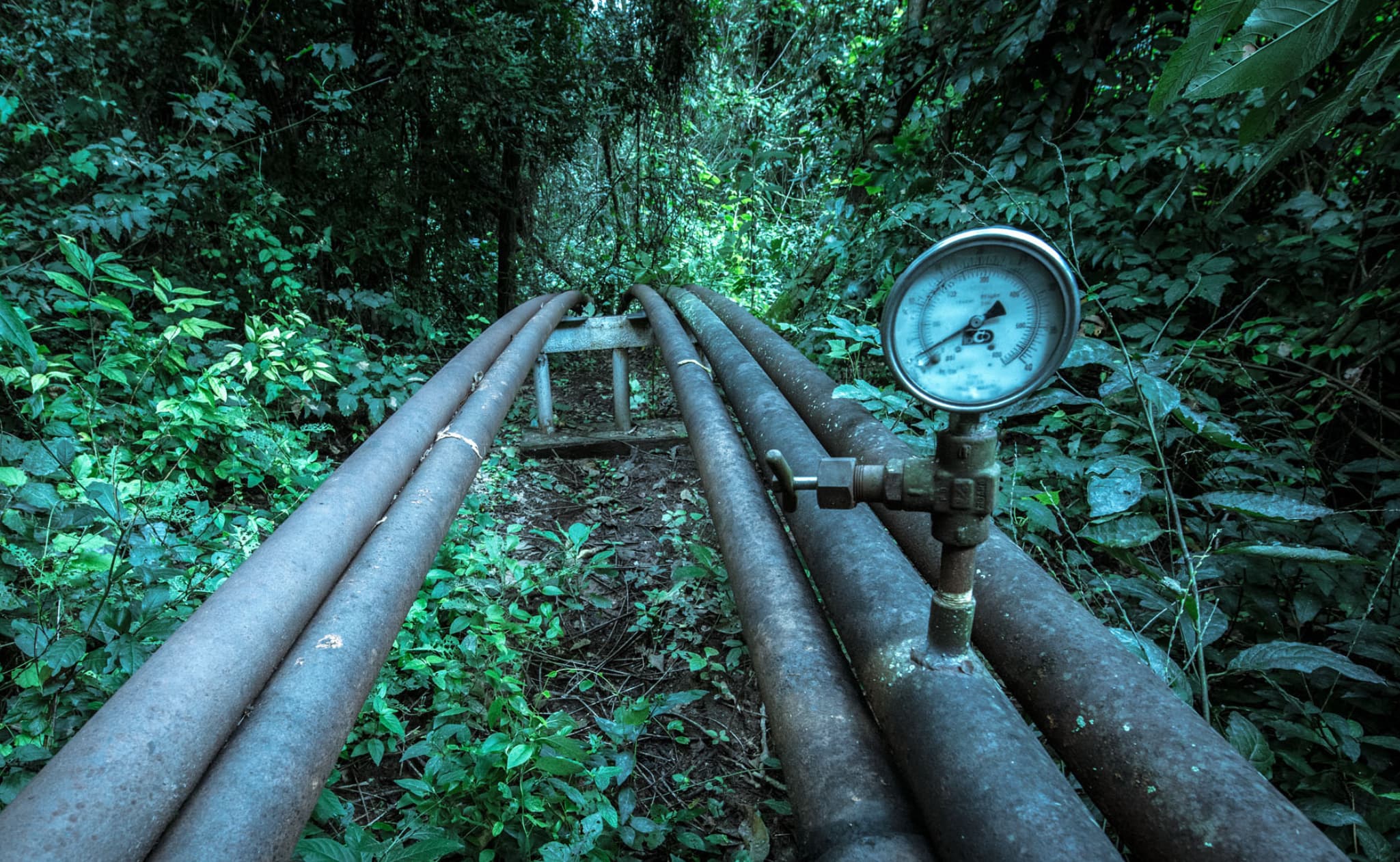 La Corte Suprema ordena el cierre de la actividad petrolera en el Parque Nacional Calilegua para 2030