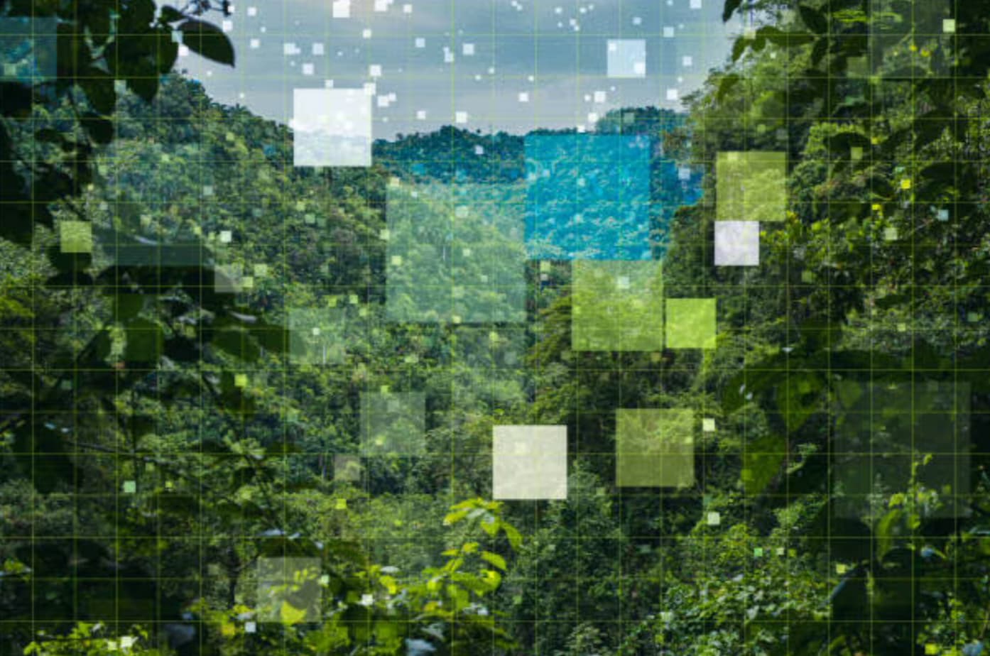 Cinco enseñanzas de la naturaleza que redefinen el futuro de la informática y la inteligencia artificial