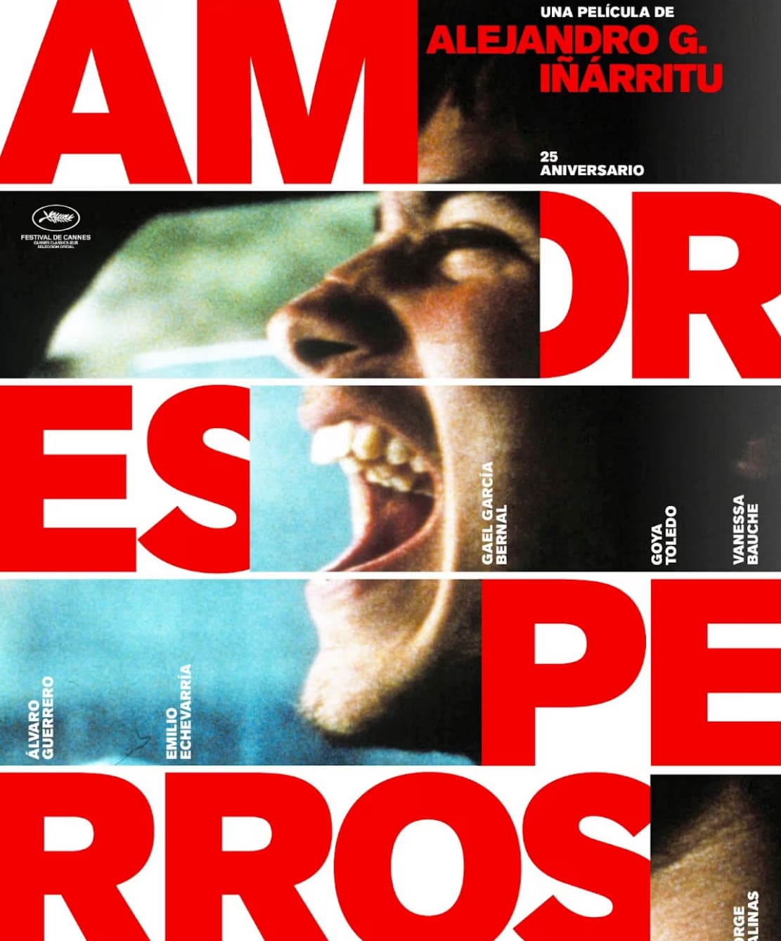 Reestreno remasterizado de Amores Perros por su 25° aniversario en cines argentinos