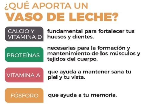 Mastellone Hnos. celebra el Día Mundial de la Leche Escolar