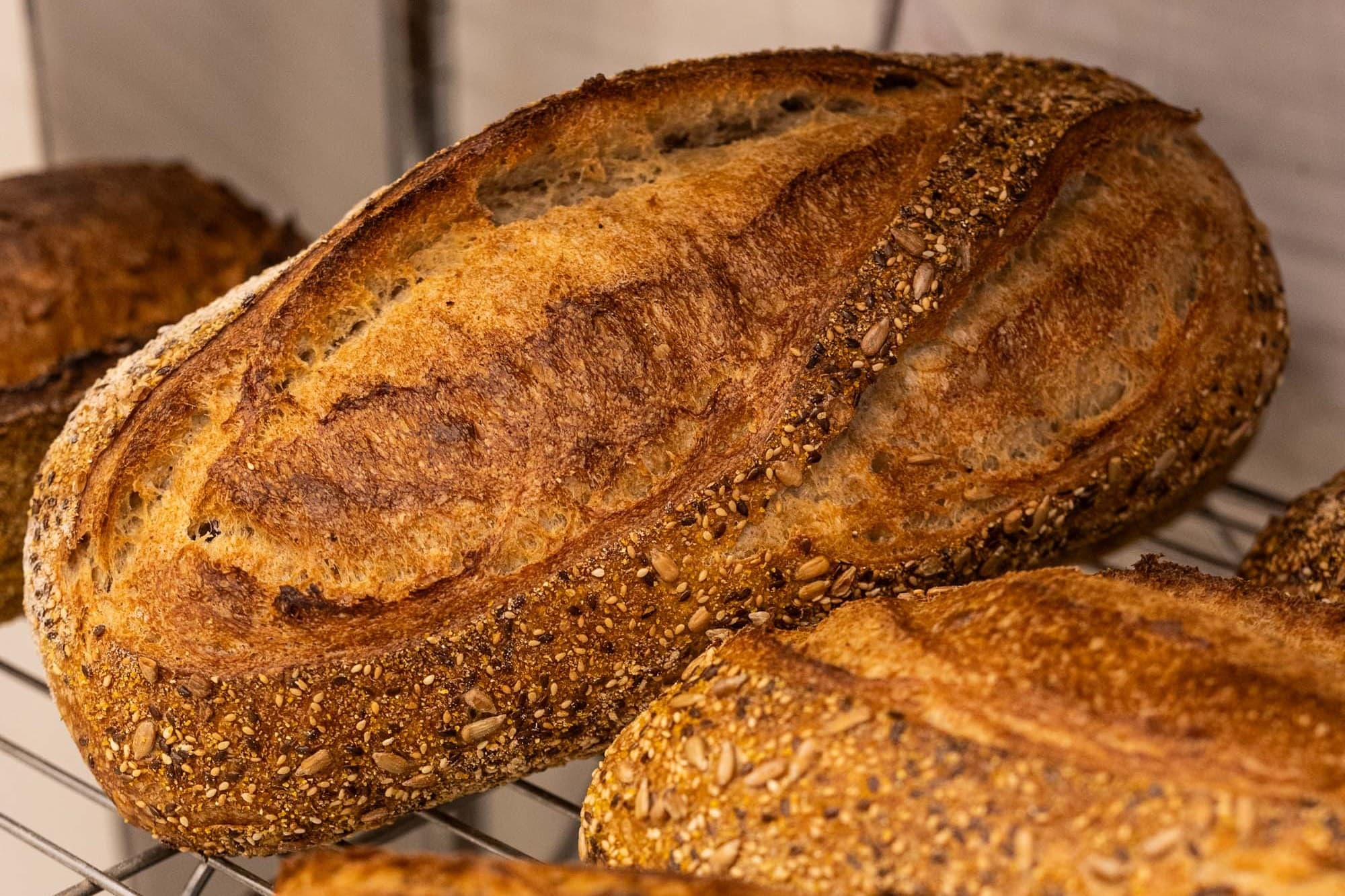 Gabriel Kogan destaca cinco principios para la elaboración de pan artesanal con harinas orgánicas