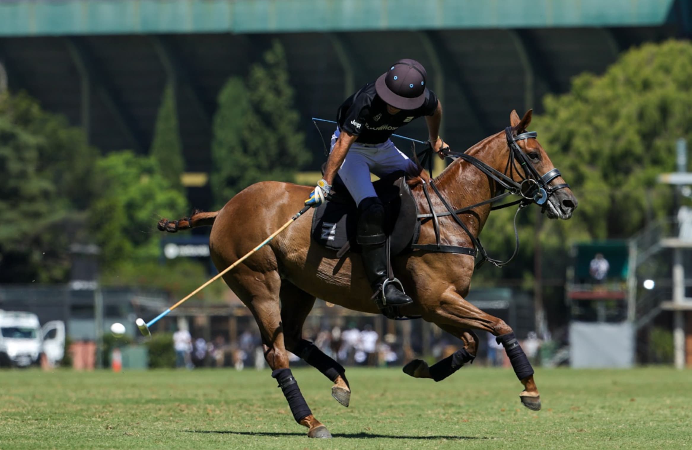 Ellerstina, la dinastía que cambió para siempre el mapa del polo argentino