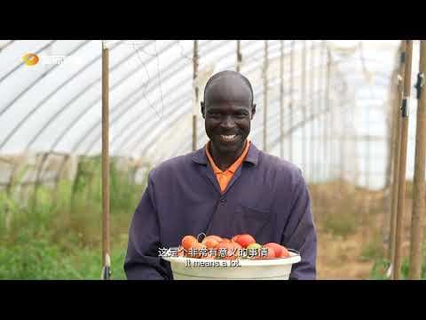 Zoomlion amplía su presencia en Kenia con maquinaria agrícola adaptada a condiciones extremas