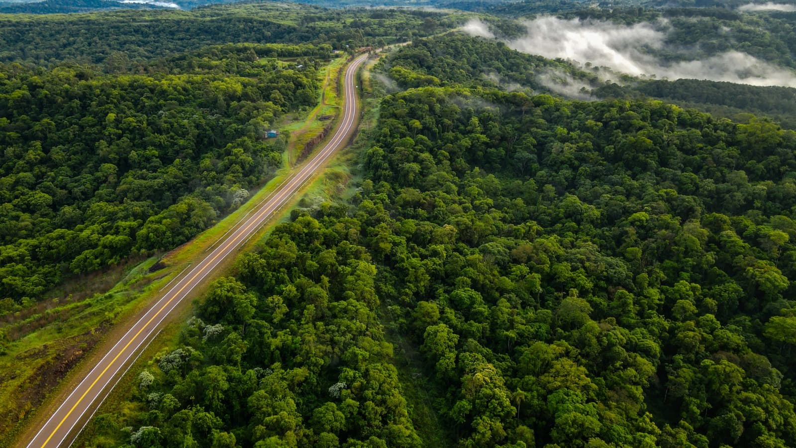 Nideport certifica proyecto de restauración Vida Nativa y comercializa créditos de carbono en Misiones