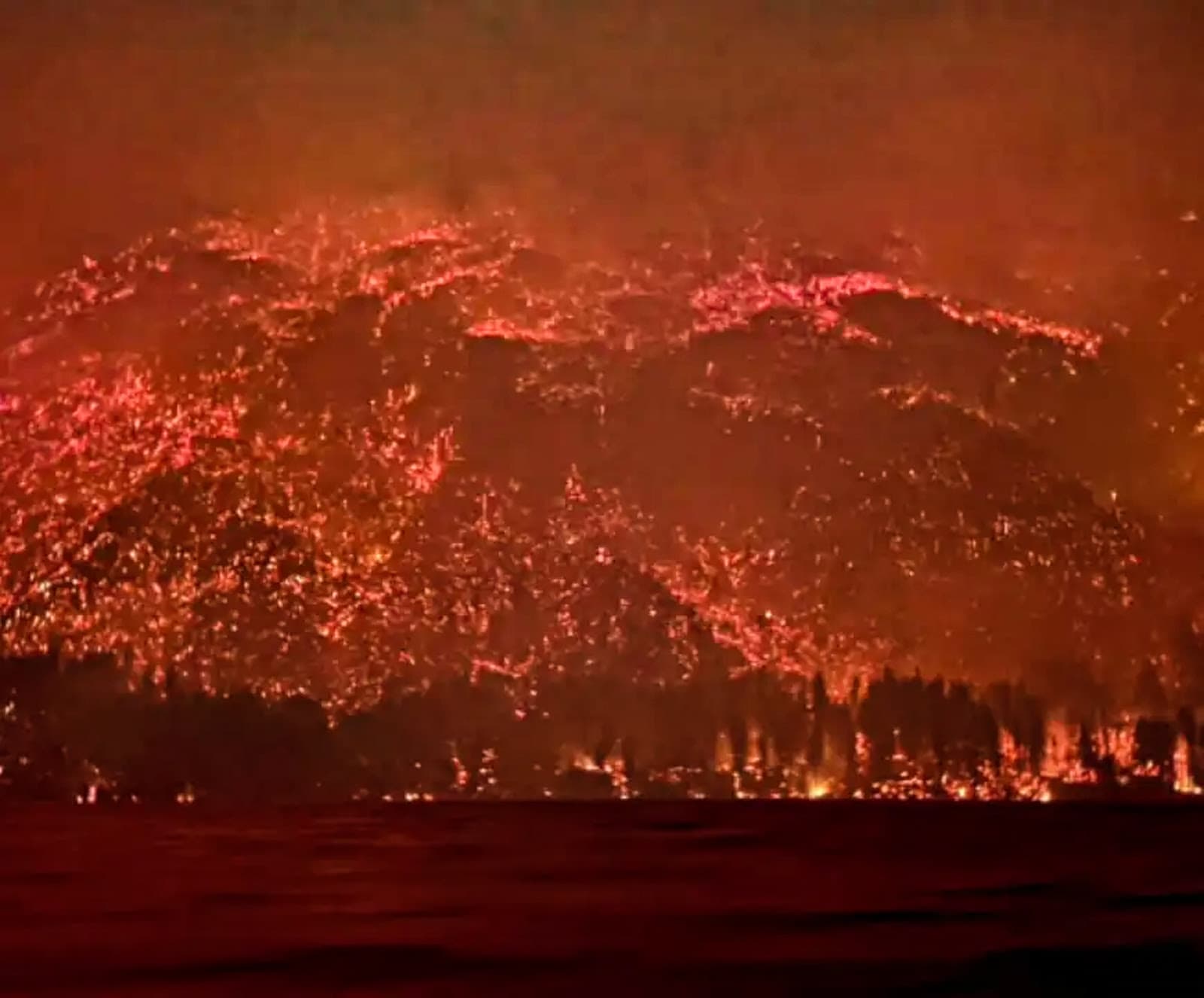 Greenpeace reclama mayor prevención y recursos ante incendios forestales en la Patagonia