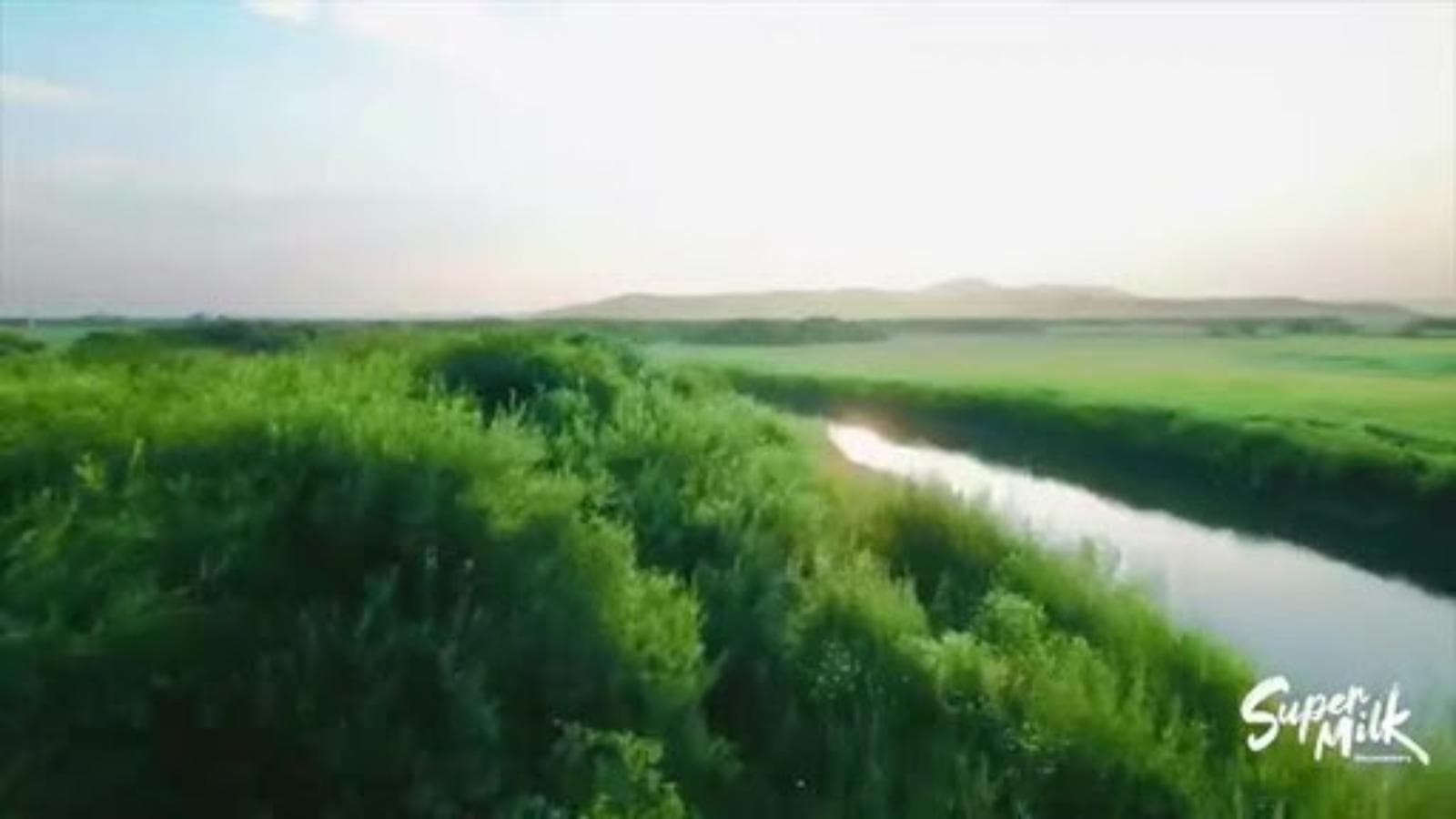 Super Milk explora la cadena mundial de la leche a través de seis episodios documentales