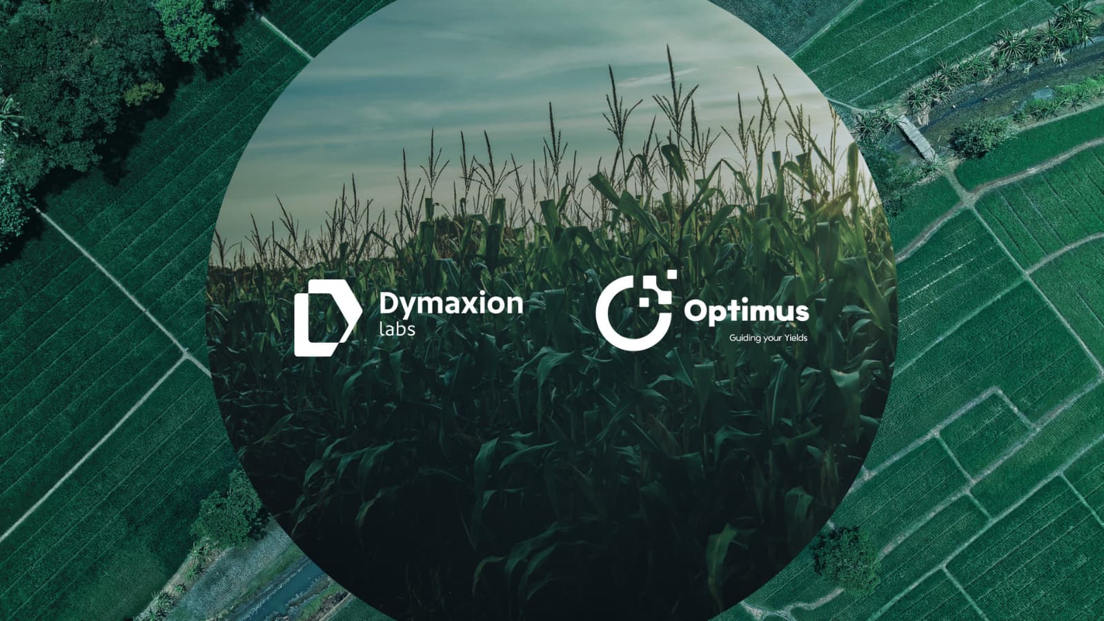 DymaxionLabs renueva su identidad y reordena Optimus, su plataforma de datos e IA