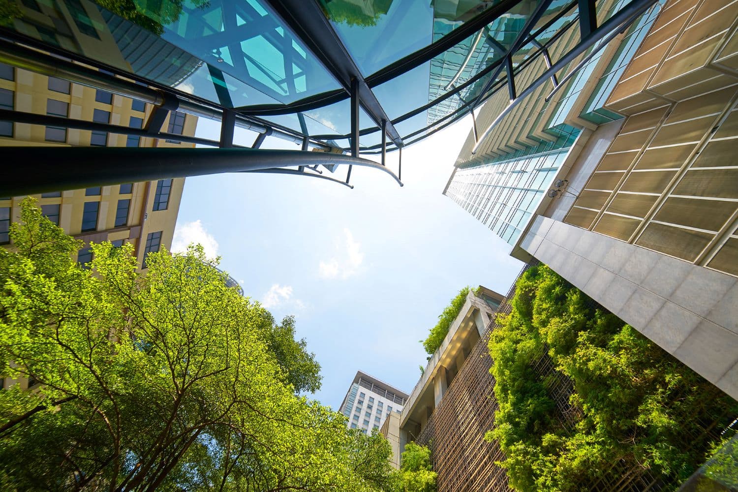 Hoteles Más Verdes actualiza su Estándar de Certificación