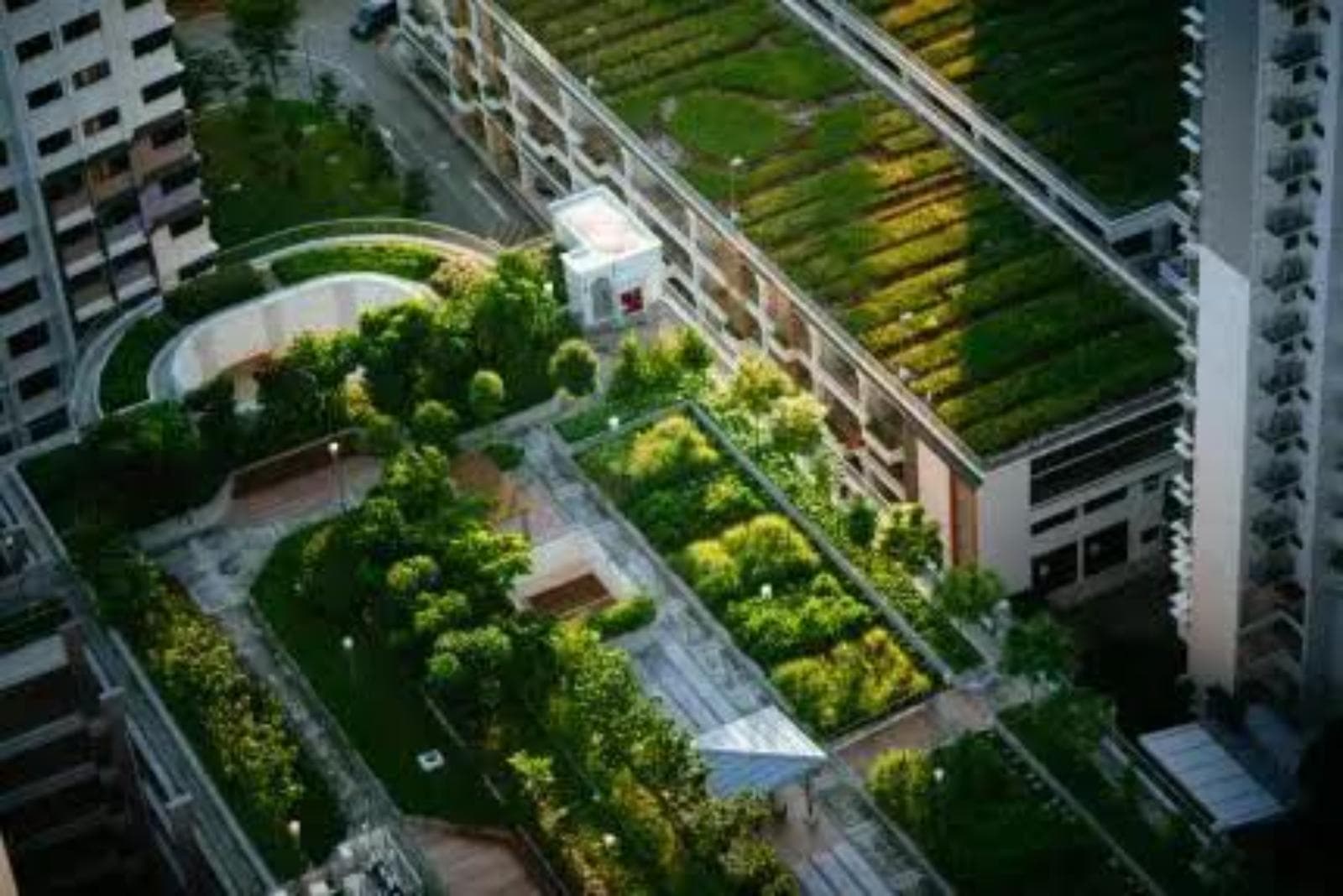 Saint-Gobain y Arup proponen acelerar la adaptación climática en el diseño de edificios