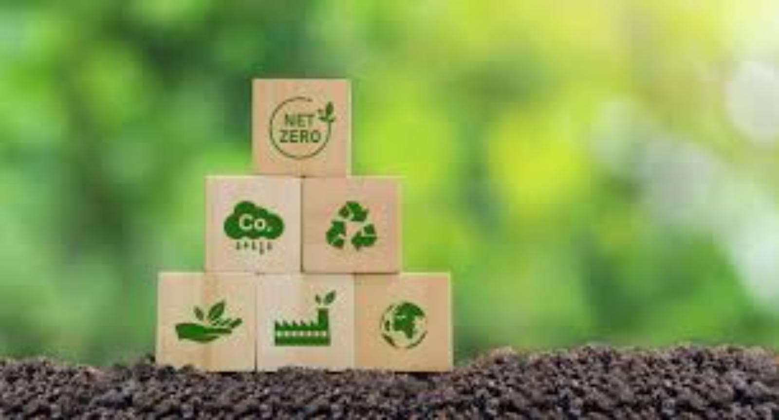 Créditos de carbono verificados: la transición que buscan navieras para sostener competitividad global