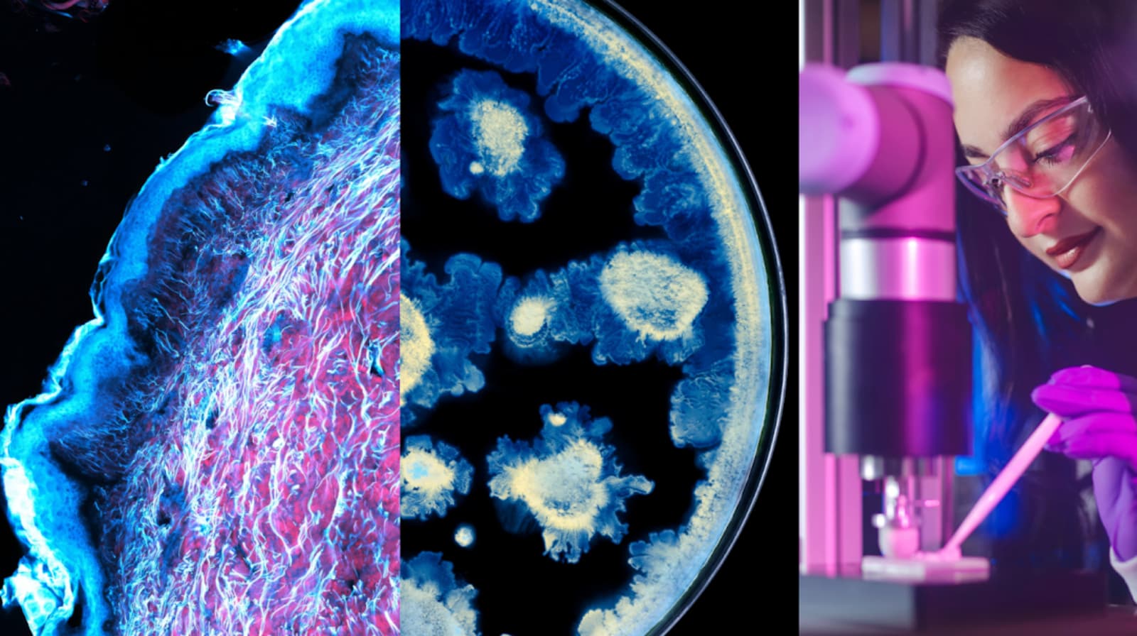 L’Oréal y el Instituto Pasteur firman su primer acuerdo científico sobre salud de la piel