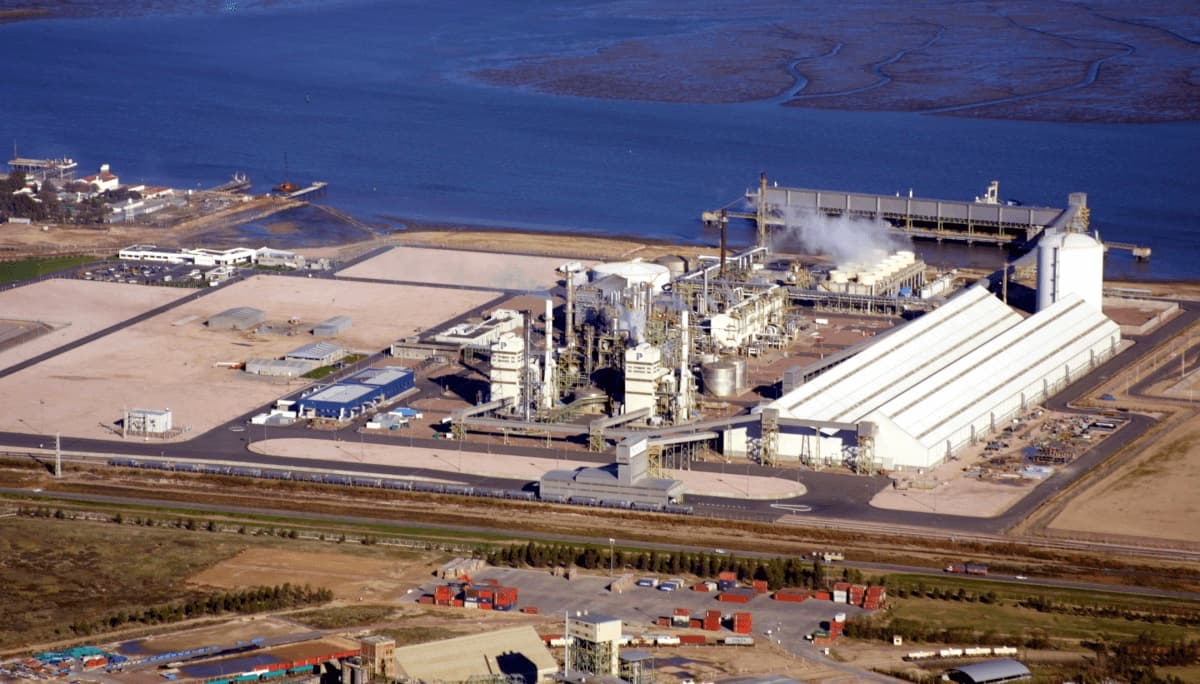 Adecoagro y ACA, protagonistas de 2025, adquieren Profertil y se posicionan en el mercado