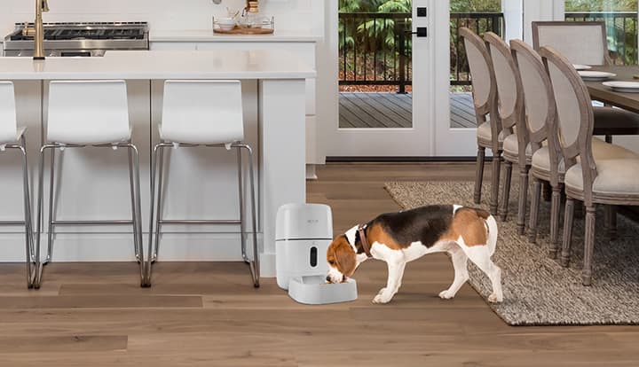 Llegó el dispensador inteligente de alimento de Nexxt Home