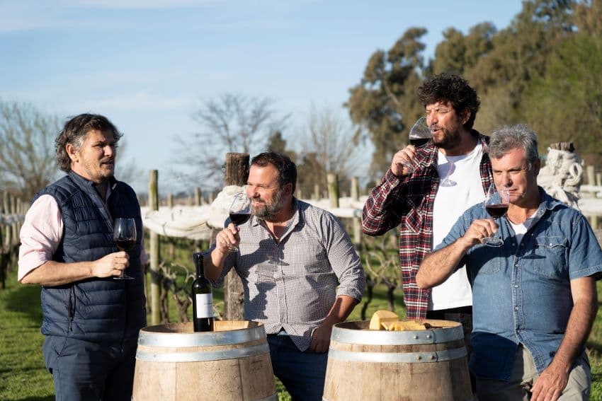 Las Antípodas: cuál es el viñedo que pone a Junín en el Mapa del Vino