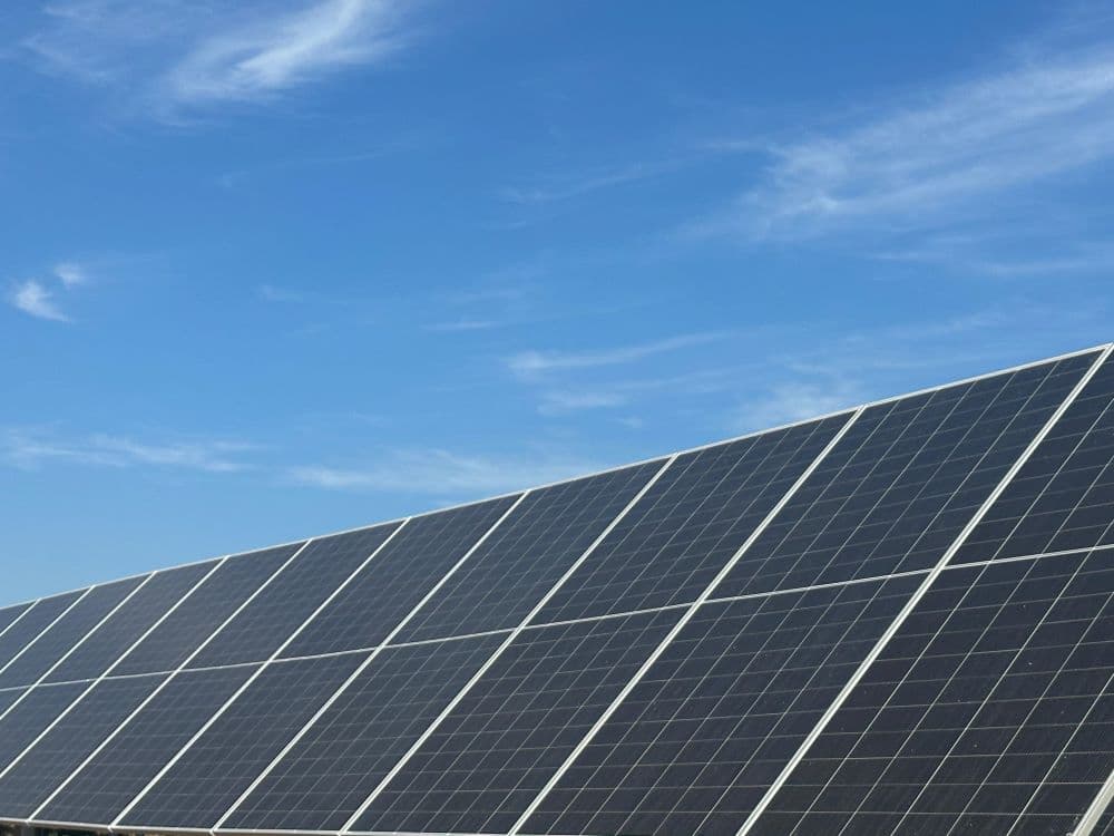 Unilever sella un acuerdo con MSU Green Energy