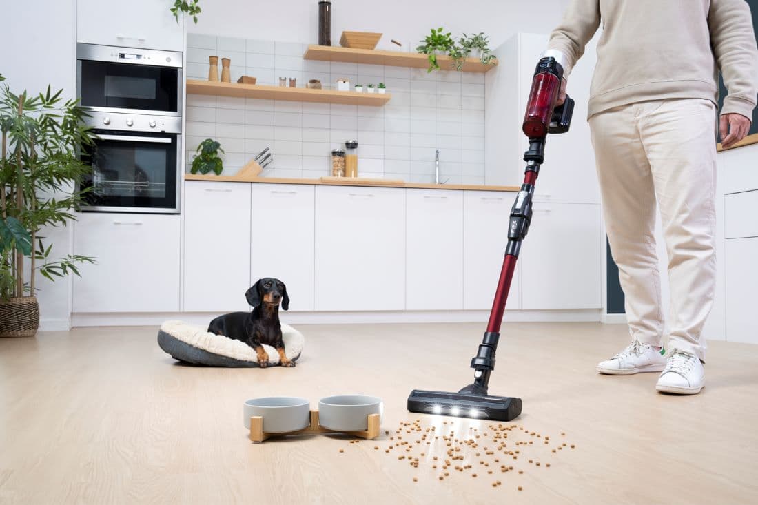 Rowenta llega a la Argentina