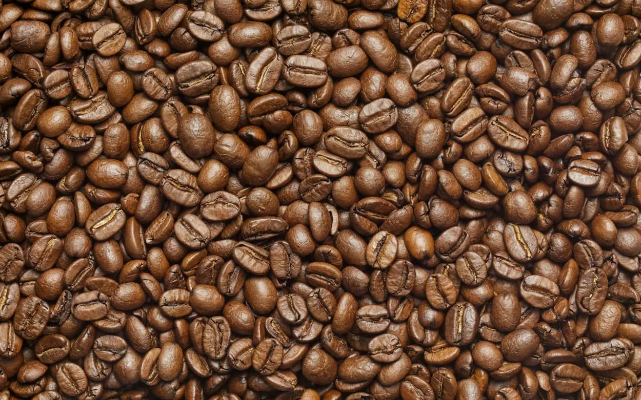 Starbucks Argentina presenta acción especial por el Día Internacional del Café 2025 para clientes Rewards