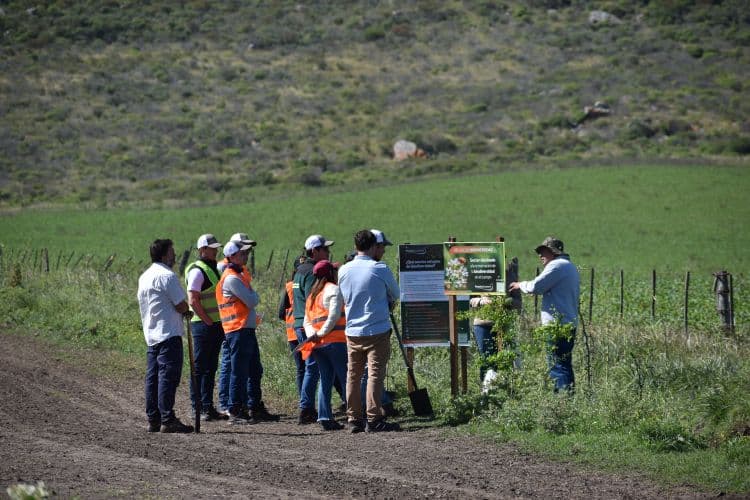 McCain Foods y Arcos Dorados trabajan hacia una agricultura regenerativa