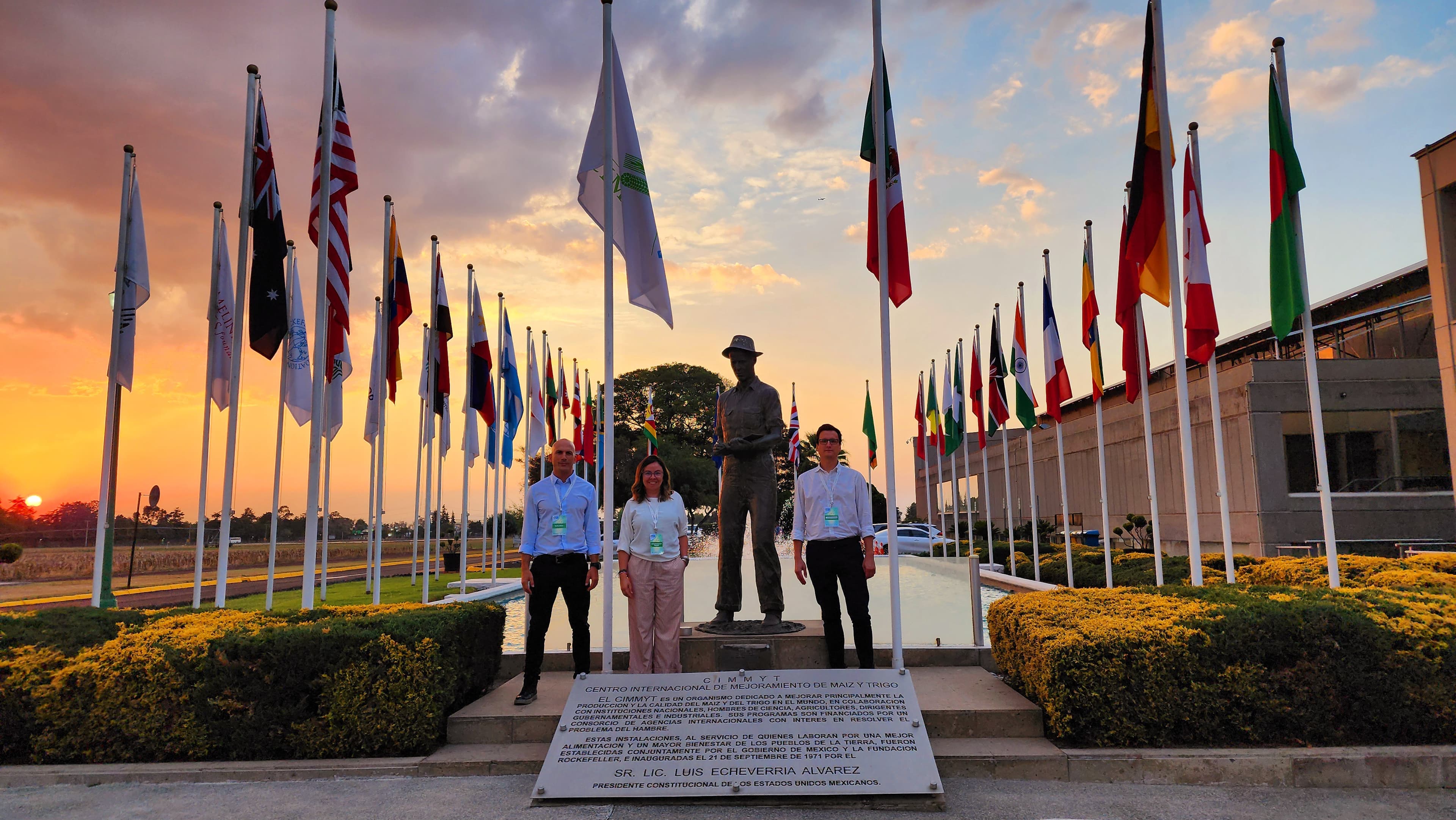 CIMMYT y Calice acuerdan integrar datos agrícolas para enfrentar el estrés climático en cultivos