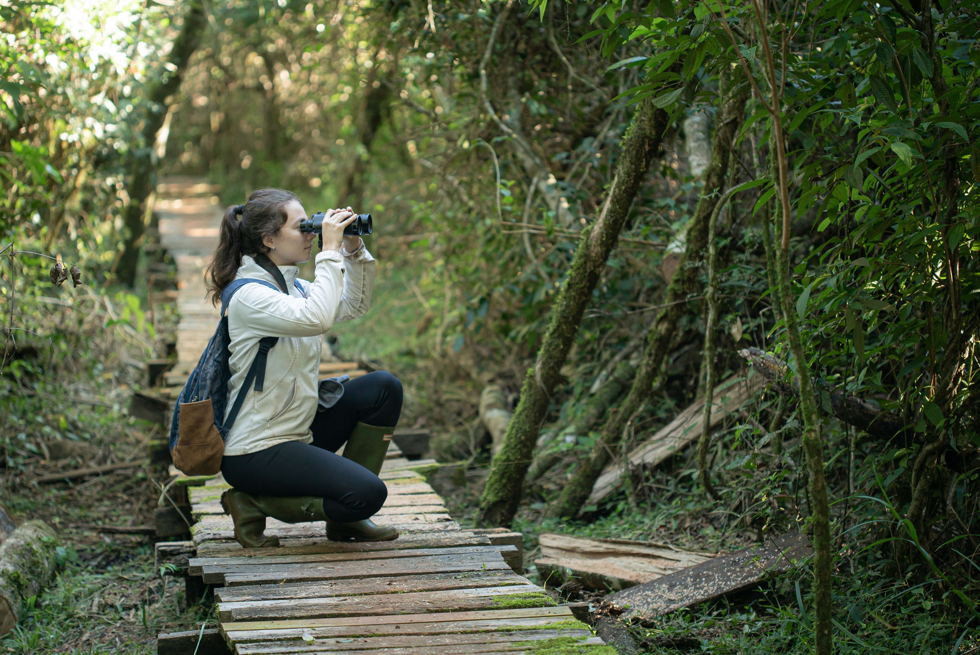 Shilba y Aves Argentinas establecen alianza para impulsar la observación y conservación de aves