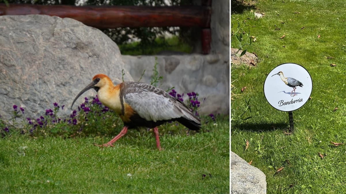 “Lo que no se comunica no existe”