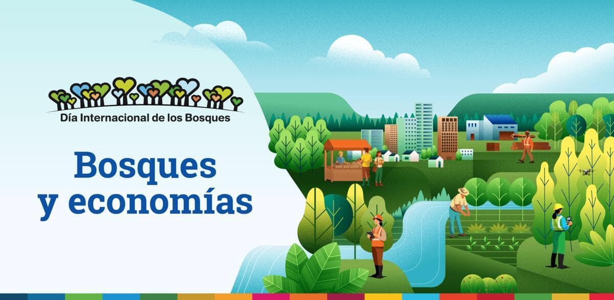 Día Internacional de los Bosques: AFoA pone el foco en su aporte económico
