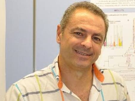 ¿Cuán peligrosa es la nueva variante ómicron?